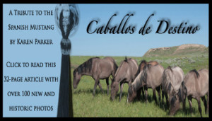 SpiritBanner_new SpiritBanner_new