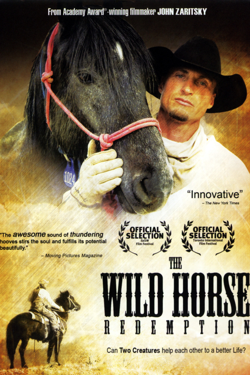The Wild Horse Redemption DVD cover