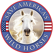 saveamercaswildhorses_171