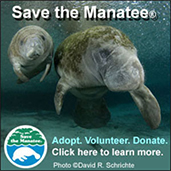 savethemanatee_171