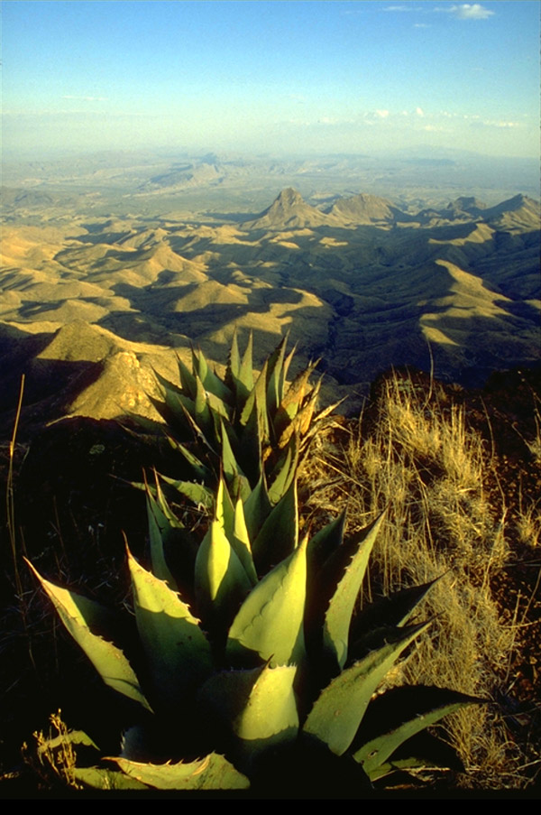 Big Bend Nationalpark