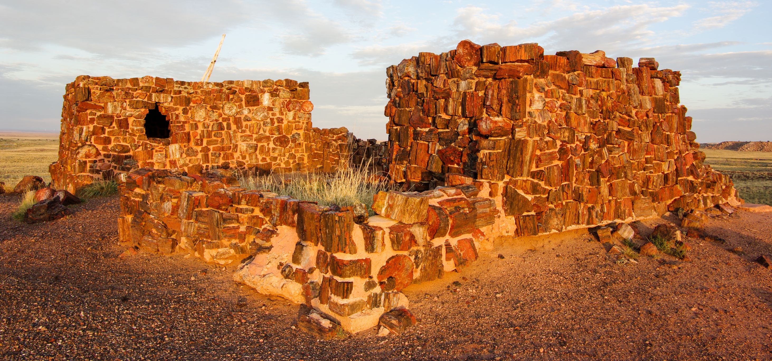 Agate House Petrified Forest