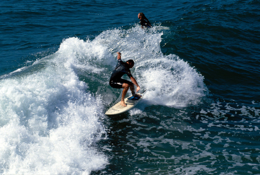 Malibu Surfers