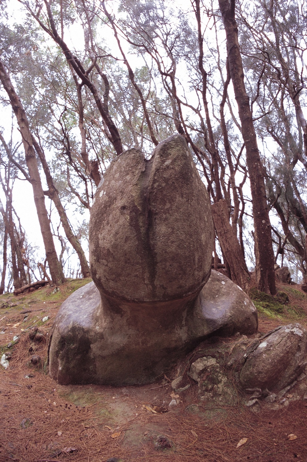 Moloka'i Phallic Rock