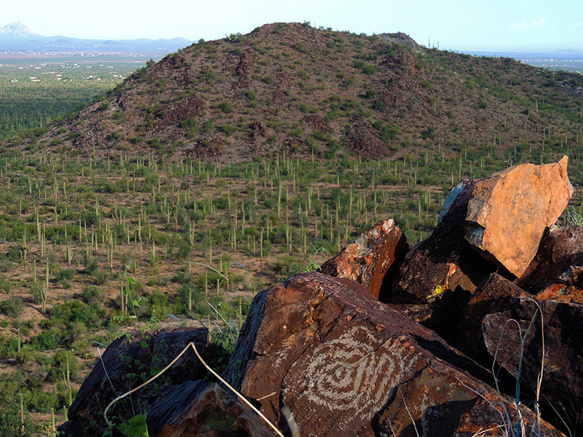 Signal Hill, Saguaro Nationalpark