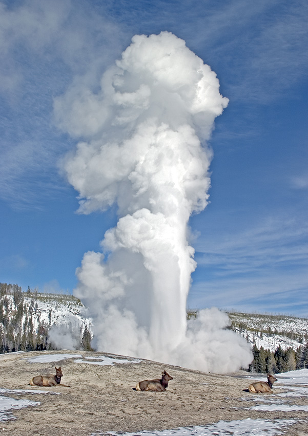 Old Faithful