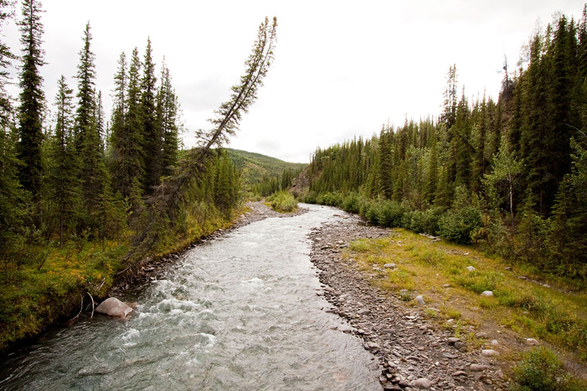 Denali NP Triple Lakes Trail