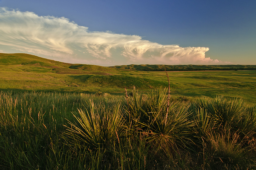 Prärie South Dakota