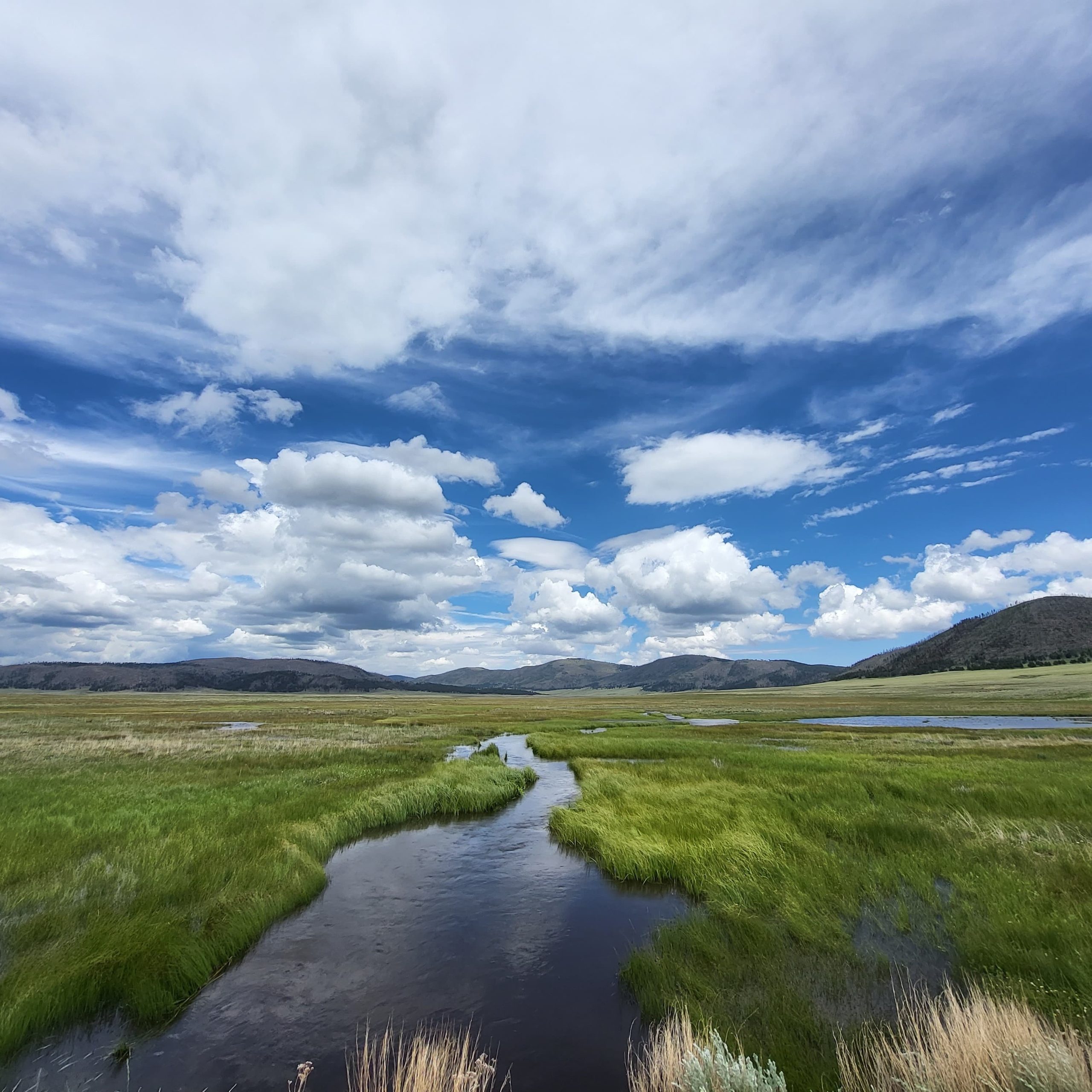 Valles Caldera East Fork