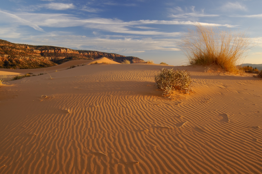 Coral Pink Sand Dunes