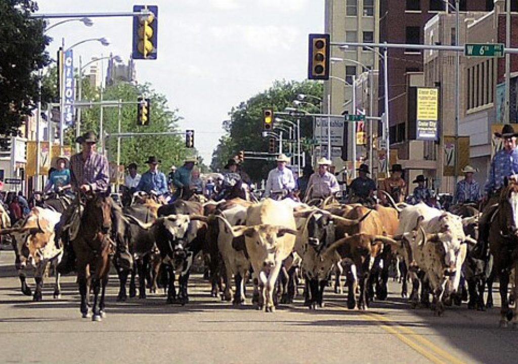 Cattle Drive