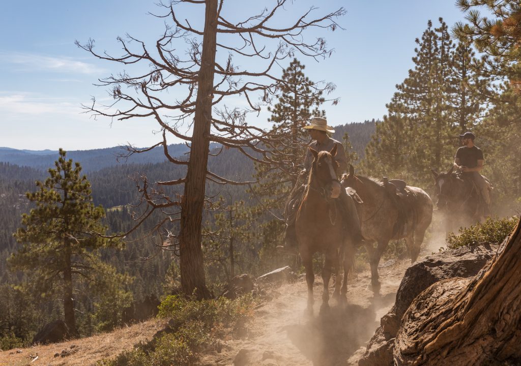 Tuolumne County Ausritt
