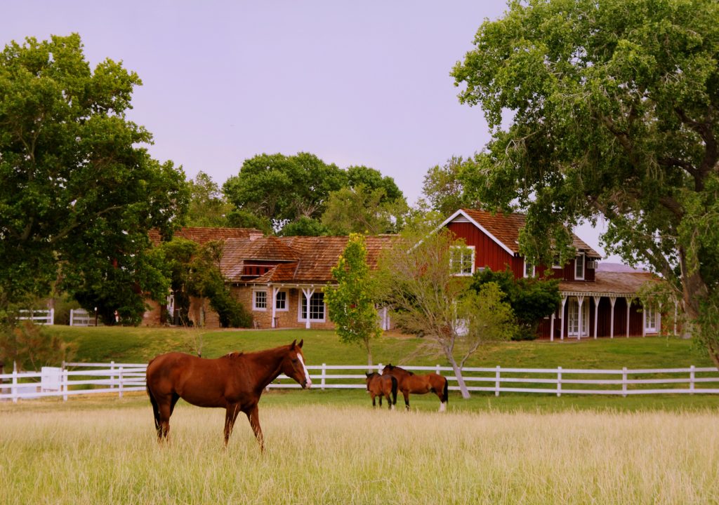 Spring Mountain Ranch