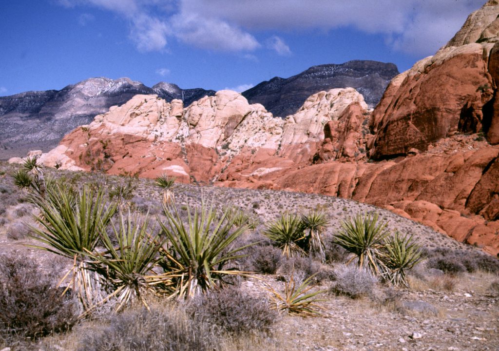 Red Rock Canyon