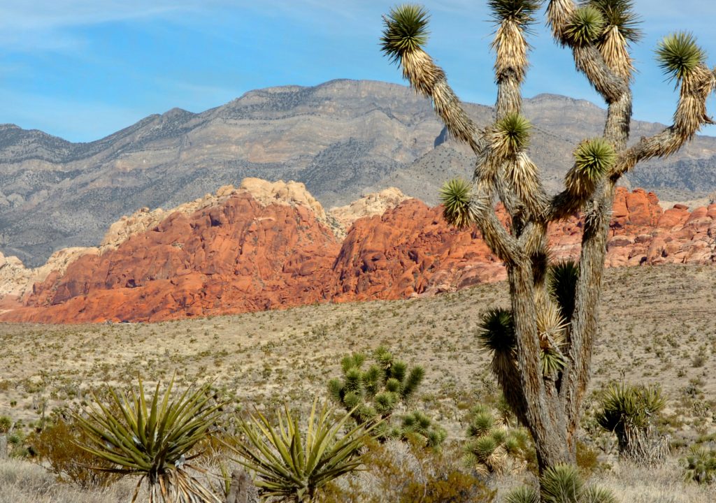 Red Rock Canyon