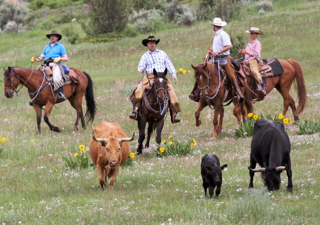 Abenteuer Dude Ranch. Black Mountain