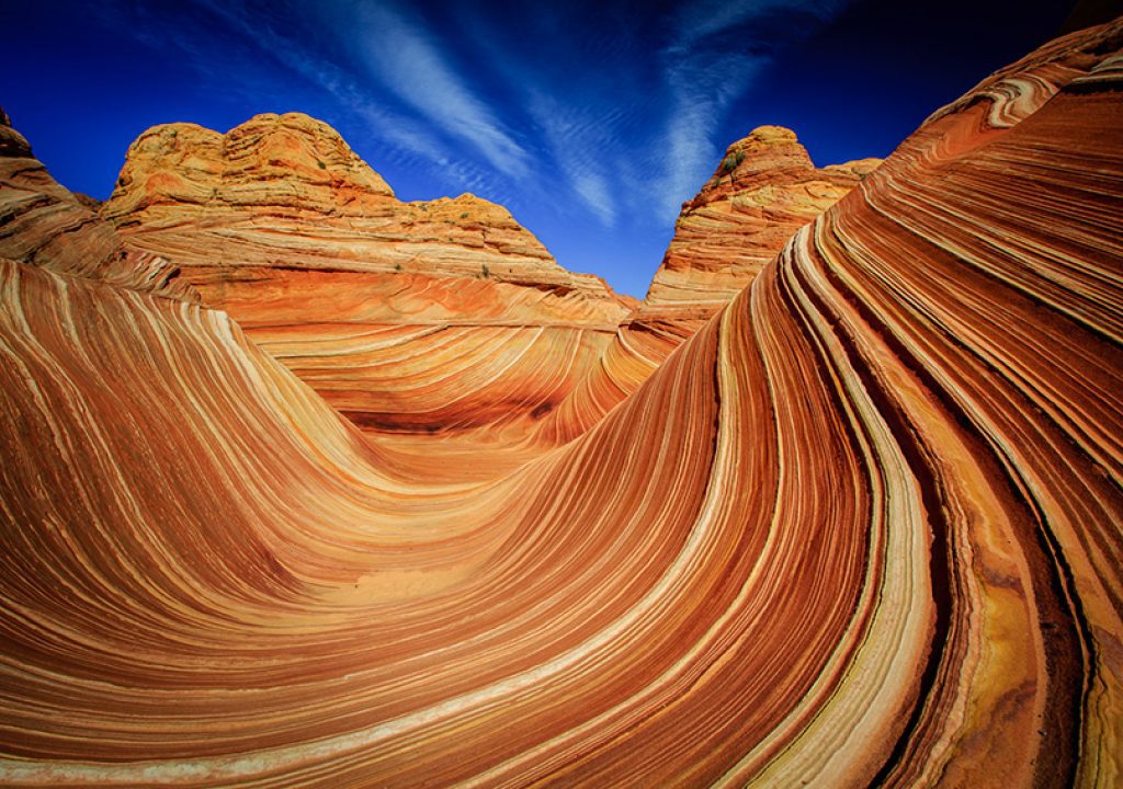 The Wave