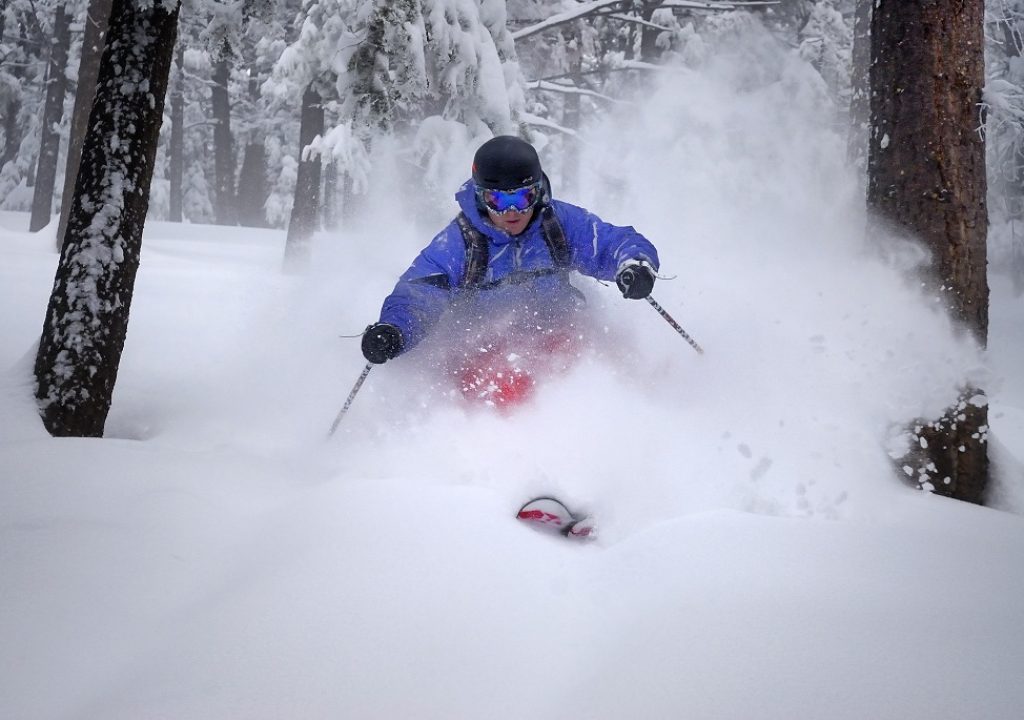 Powdertrees