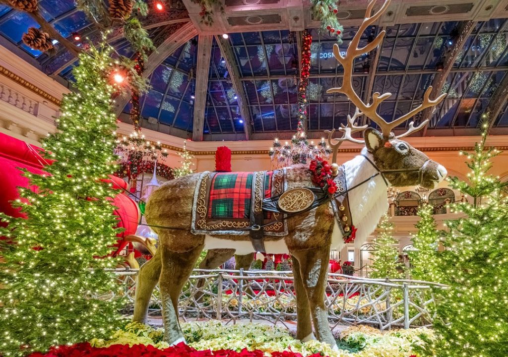 Bellagio Conservatory & Botanical Gardens -East Bed