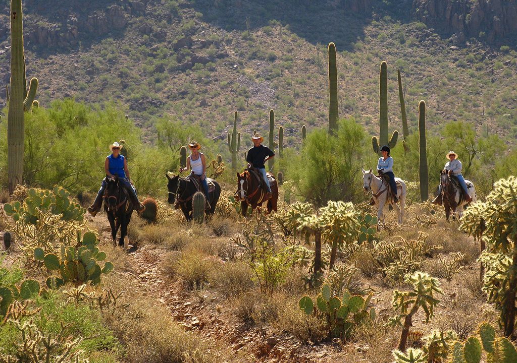 Top Gäste-Ranches, White Stallion Ranch
