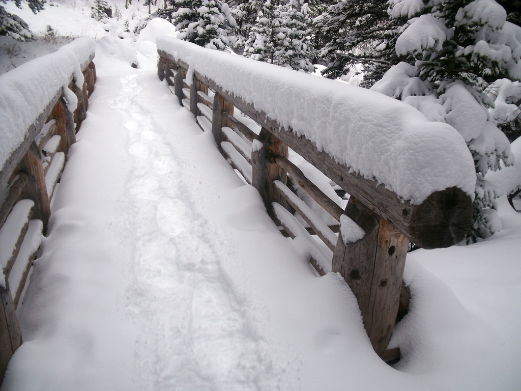 Rocky Mountain Nationalpark