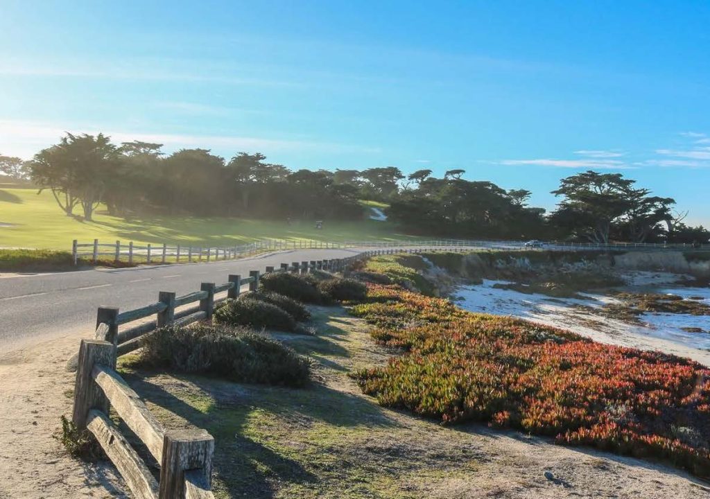 Scenic 17-Mile Drive Fanshell Beach