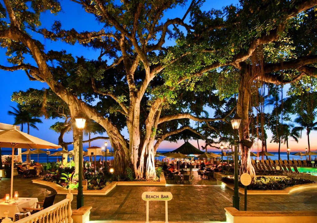 Banyan Tree