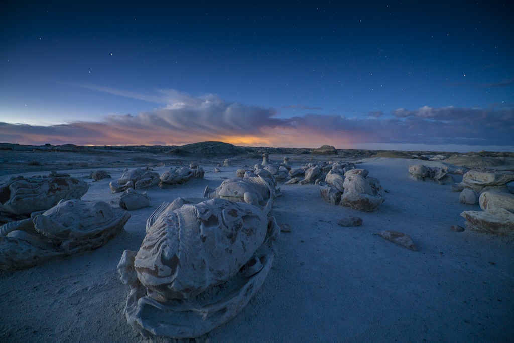 Bisti/De-Na-Zin Wilderness