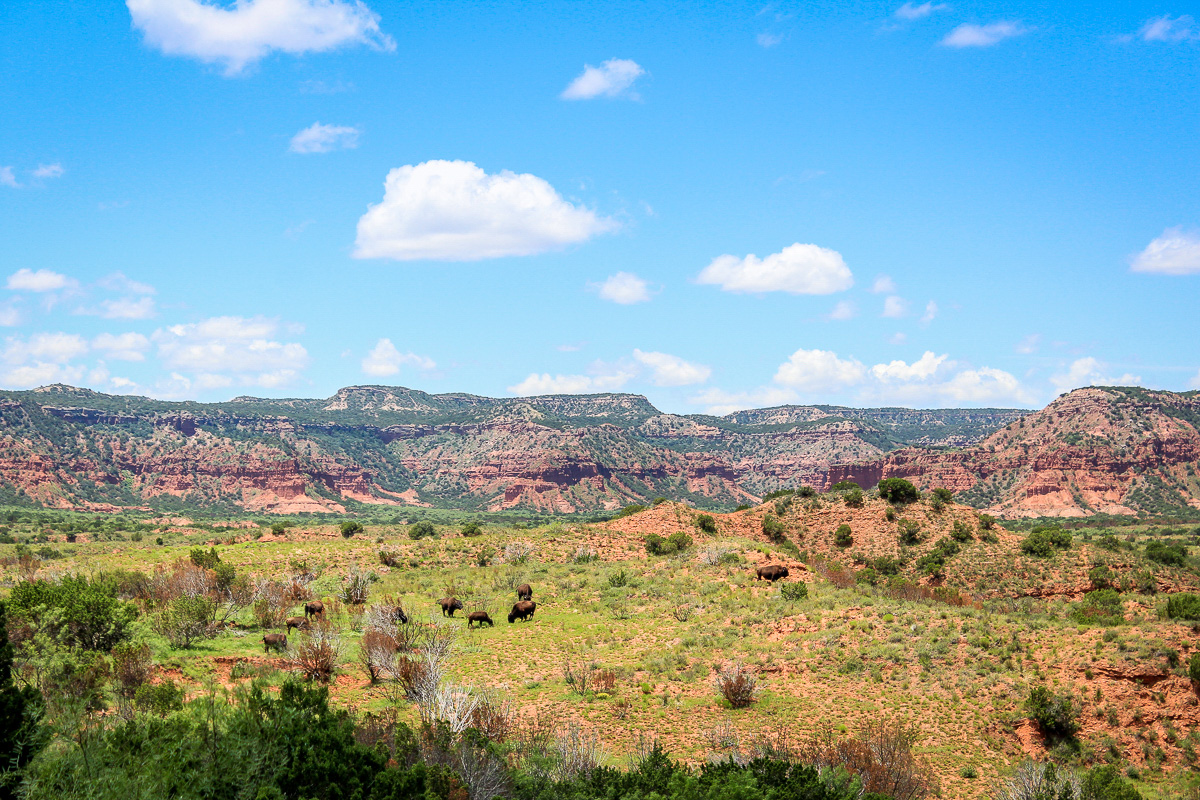 Caprock Canyons State Park