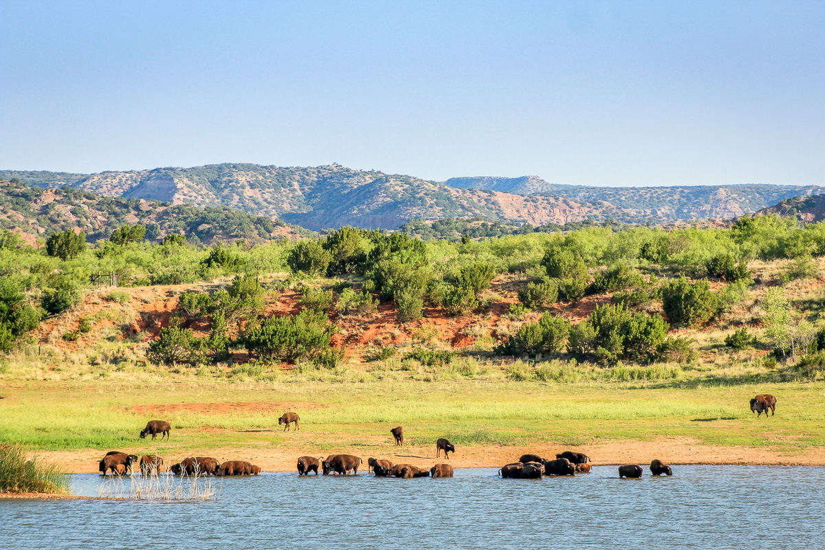 Caprock Canyons State Park
