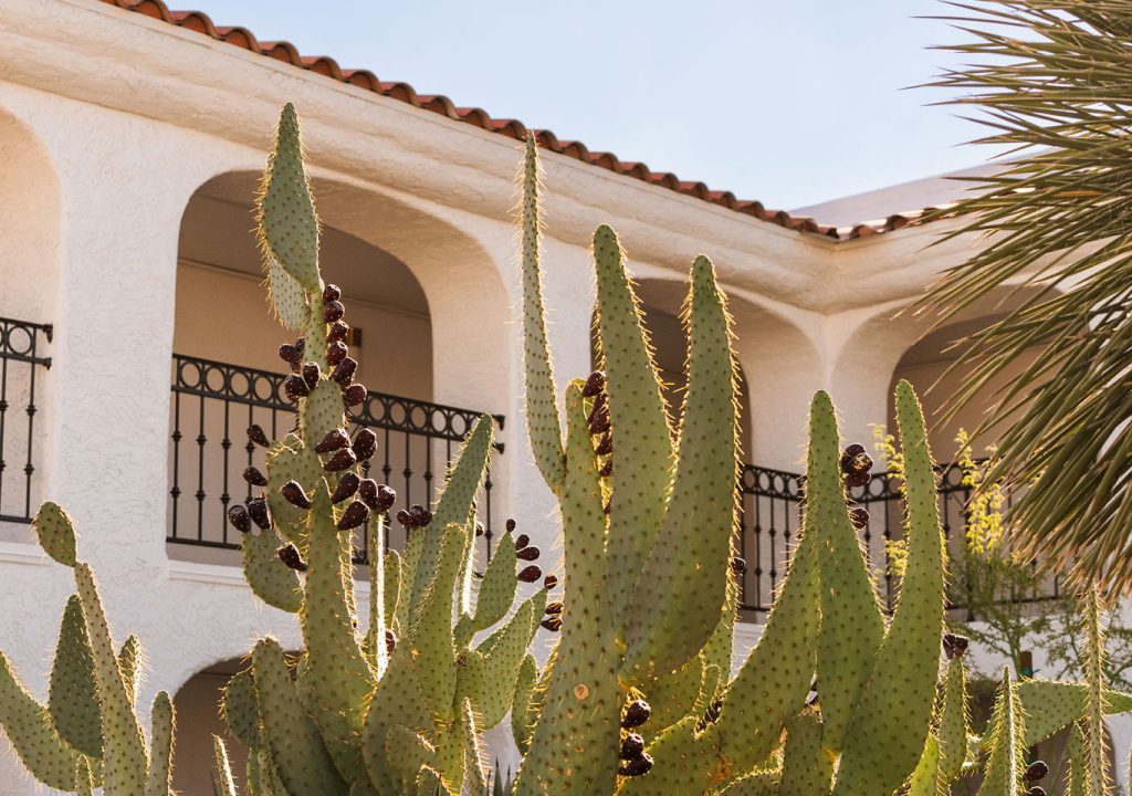 Kimpton Miralina Resort