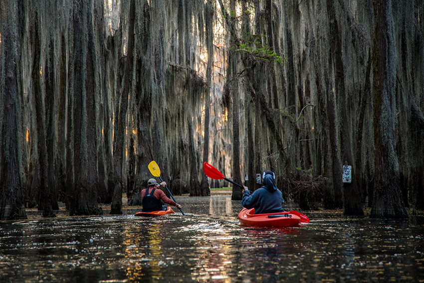 Caddo Lake
