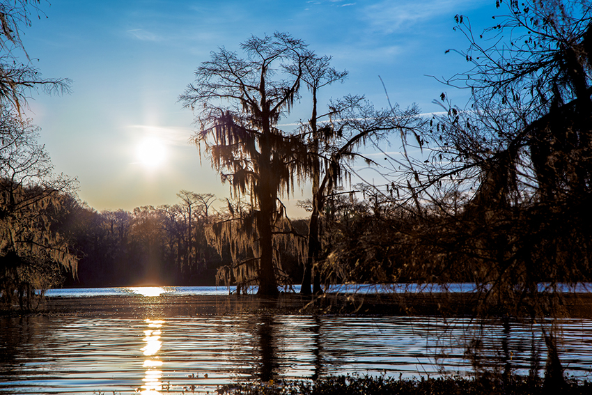 Caddo Lake