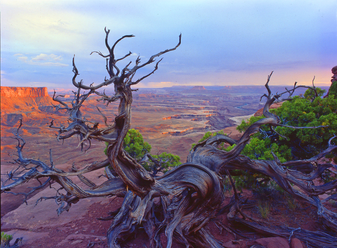 Nationalpark Canyonlands