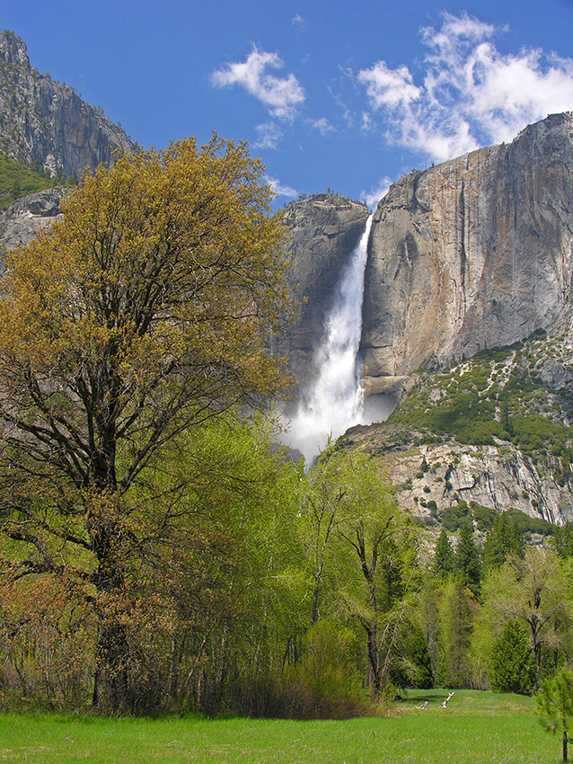 Yosemite NP