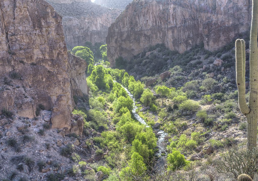 Aravaipa Canyon Wilderness