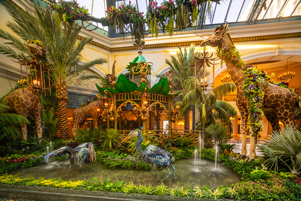 Bellagio Sommerausstellung