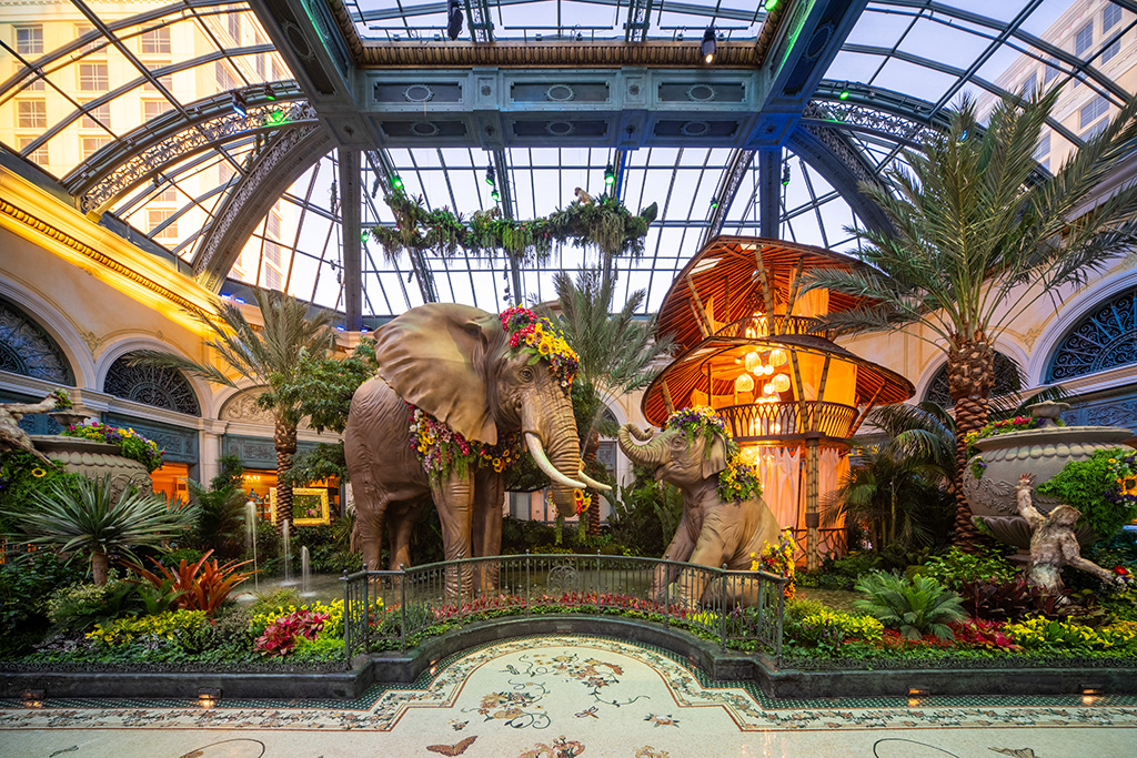 Bellagio Sommerausstellung