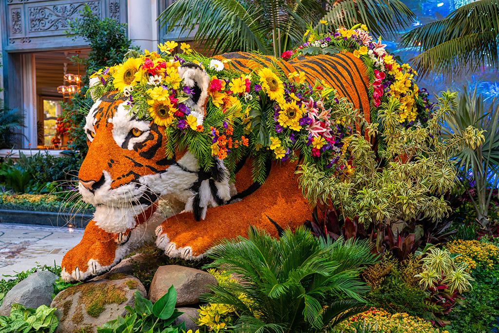 Bellagio Sommerausstellung