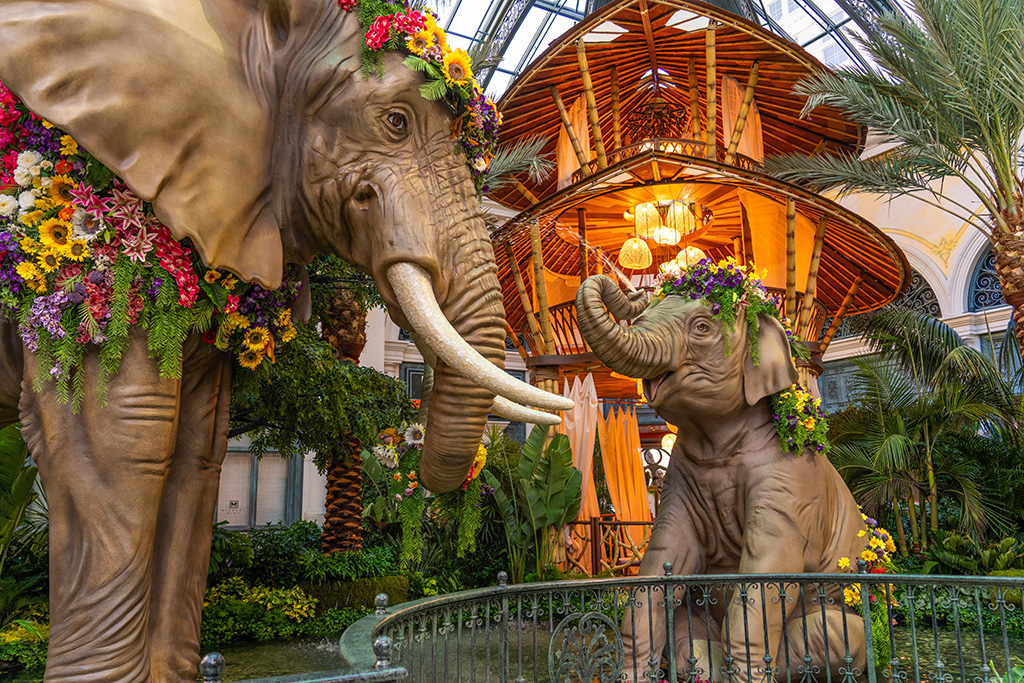 Elephants