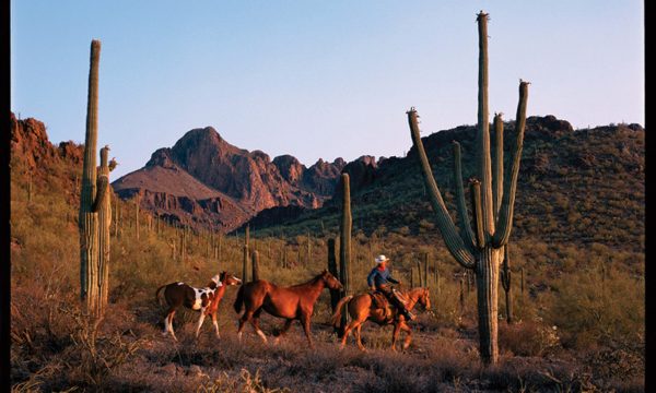 Top Gäste-Ranches
