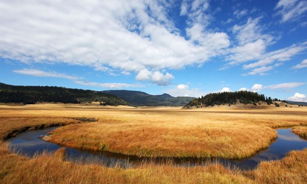 Valles Caldera