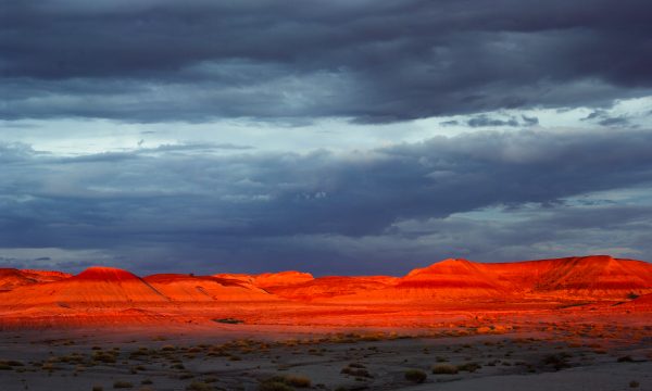 Petrified Forest Nationalpark – Painted Desert