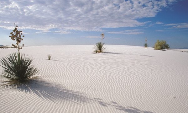 White Sands