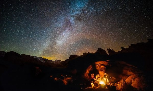 Sterngucker Paradiese